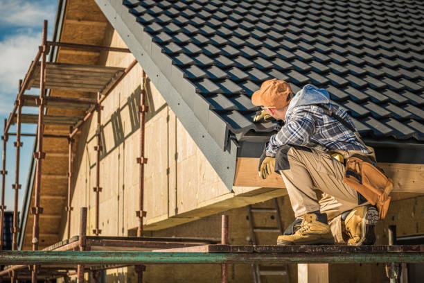 Best Roof Installation  in Battle Creek, NE