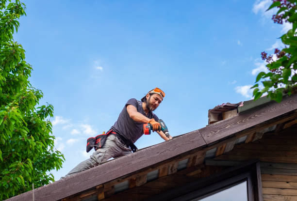 Best Skylight Installation and Repair  in Battle Creek, NE