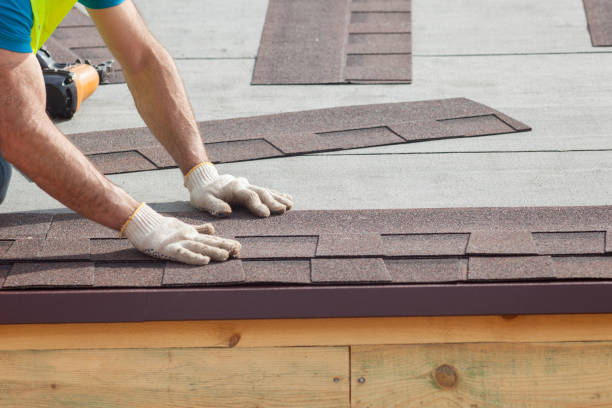 Best Roof Moss and Algae Removal  in Battle Creek, NE